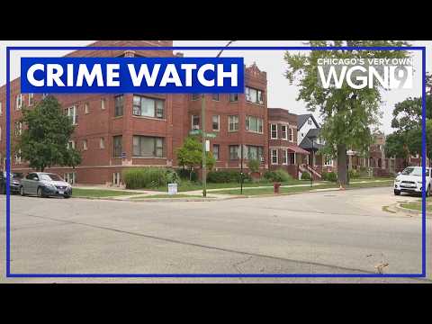 Multiple sexual abuse reports prompt community alerts in Avondale, Wicker Park