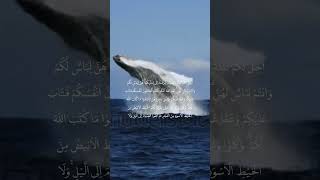 Al-Baqarah ayat 187 part 1