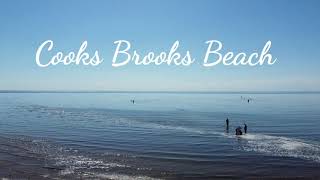Cooks BrooKs Beach Cape Cod