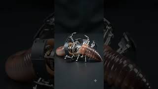 Hands place worm, worm transform… #asmr #satisfying #shorts