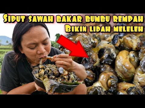 SIPUT SAWAH PANGGANG MENU BARU HASIL ALAM