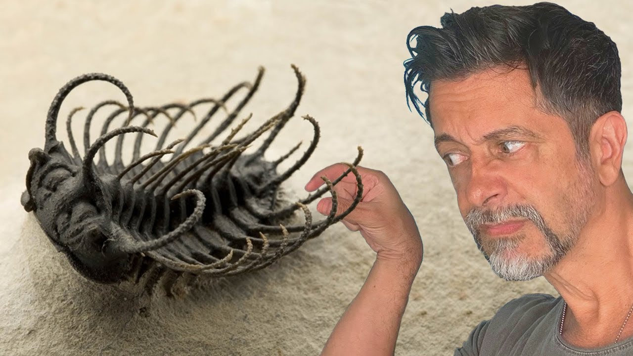 O que matou os trilobitas?