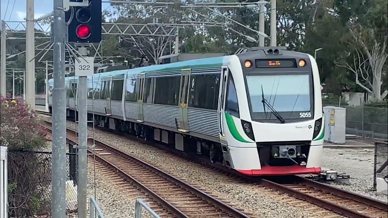 Transperth Trains at West Leederville Station YouTube