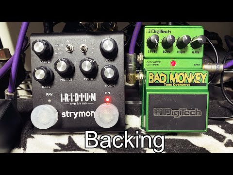 [BGM] The best pedal in the TS? Digitech Bad Monkey + Strymon Iridium Chime(VOX AC30)