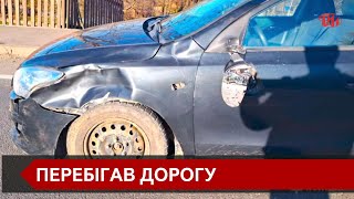 29 січня у селі Вістова сталася дорожньо-транспортна пригода