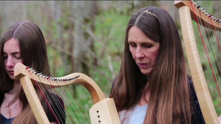 THE HARPS IN THE TREES