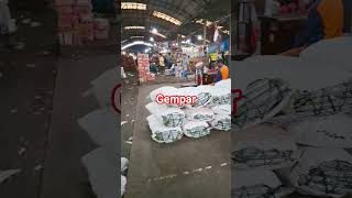 Download Lagu gemparrr#shortsvideo MP3