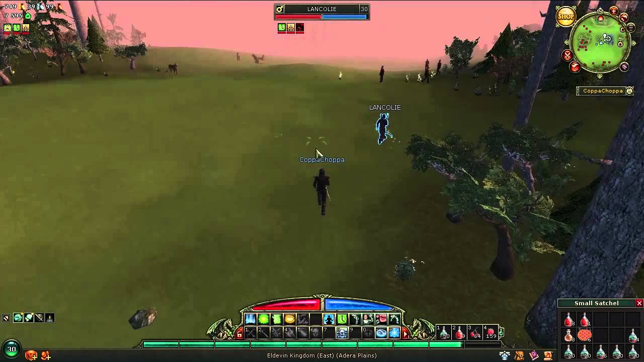 Eldevin - как раскачиваются варриоры