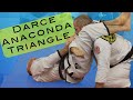 Darce Anaconda Triangle a clear plan to simplify neck attacks