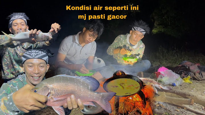 The drought has hit the mangrove jack fish hungry and fierce. Camfish