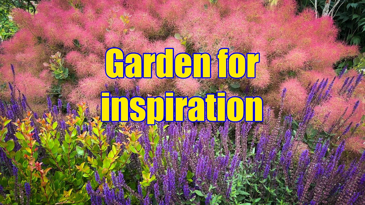 Vlog 254 - Seasonal Garden Harmony: Plant Combinations That Flow Through the Year