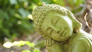 Garden Buddha 2 - 4K Royalty Free Shooting