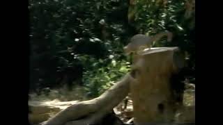 2001 Geico Squirrels tv Ad