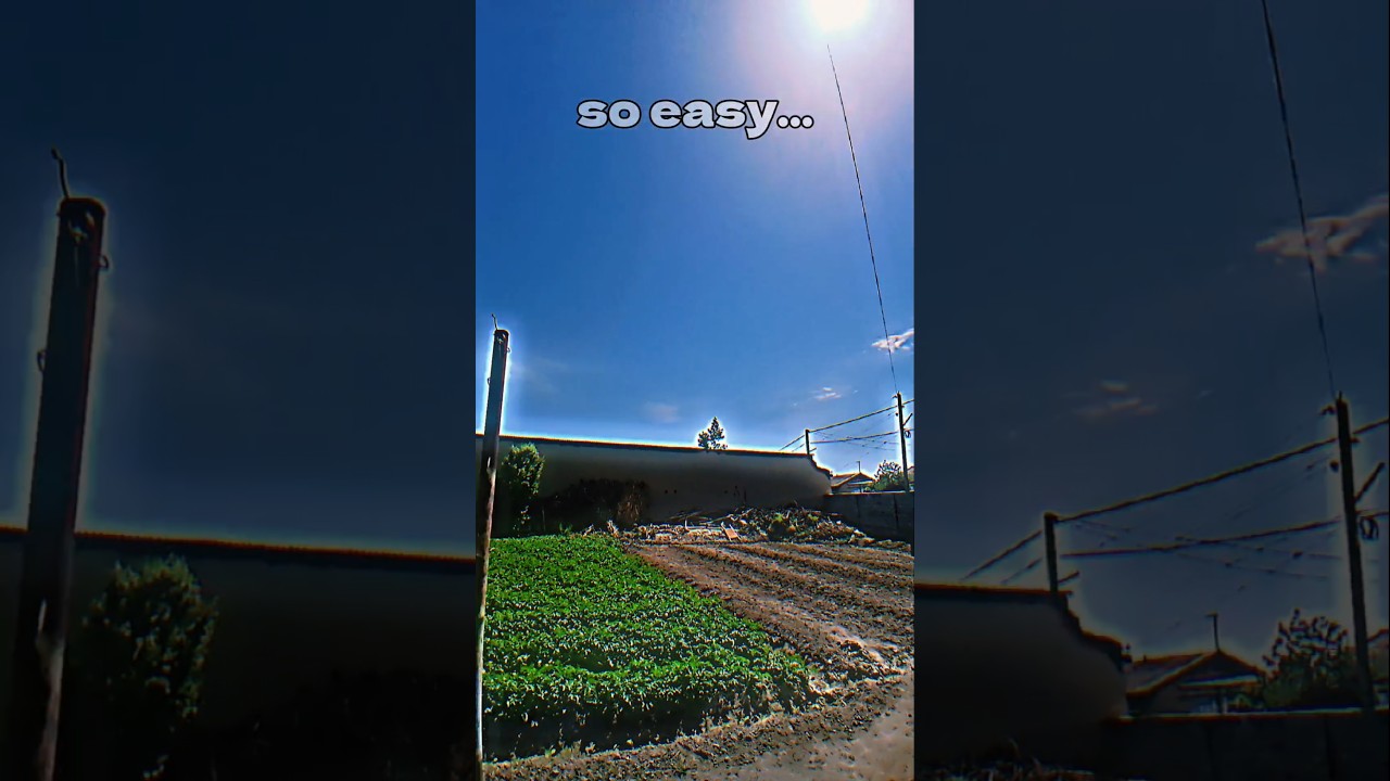 Even a 5-Year-Old Can Make This Paper Airplane! ✈️ Super Easy!