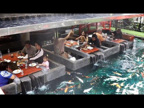 Amazing restaurant built inside a carp fish pond in Thailand