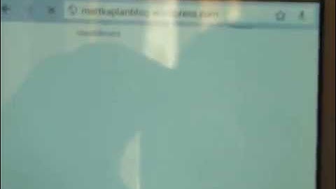 How to cut network internet connections ? | Netcut