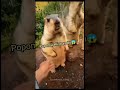 Aaa Elledi Beni Popomu Elliyo Ya Bu テァeksene Nan Elini Kimsin Lan ナ歹n Aaa Elledi Beni Popomu Elliyo Ya Bu テァeksene Nan Elini Kimsin Lan ナ歹n