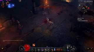 Diablo3 PTR 2.01 DH Chakram Bug