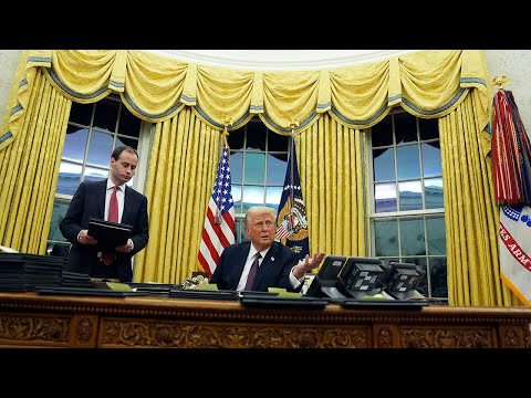 Alphamaxx Male Enhancement Reviews [lYI7wTNoqL]