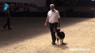 Qualification - Claude Guzzo + Lucky De La Bergerie De Morgane/Border Collie - France