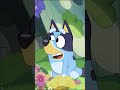 A Letter To The Fairies Bluey 
