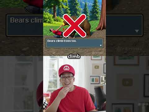 how do you survive a bear attack?