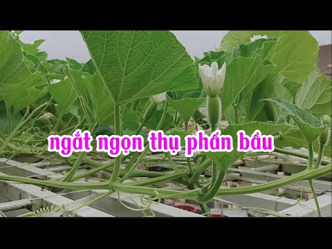 Chia sẻ cách
