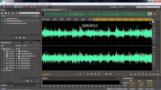 Adobe Audition CC Tutorial | Reversing Audio And Creating Silence screenshot 4