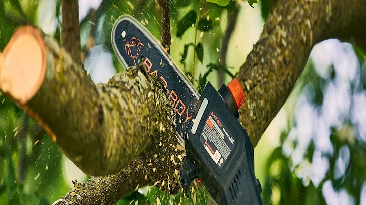 Best 'POLE SAW' Guide for Beginners/Home Owners | Silky vs Notch vs Corona vs STIHL