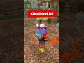 Kennst du diesen Modus? | Minecraft Server Vorstellung | #minecraft #smp