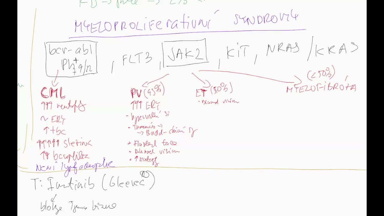 Hematologicke neoplazie 4 CZ (MPS=MPN, CML, PV, esencialni trombocytemie, primarni myelofibroza)