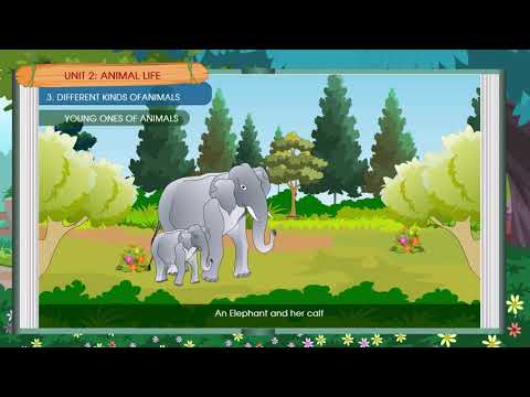DIFFERENT KINDS OF ANIMALS |  CLASS 1 | CHAPTER 3 |  SCIENCE