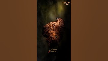 سورة الأنعام الأية 77