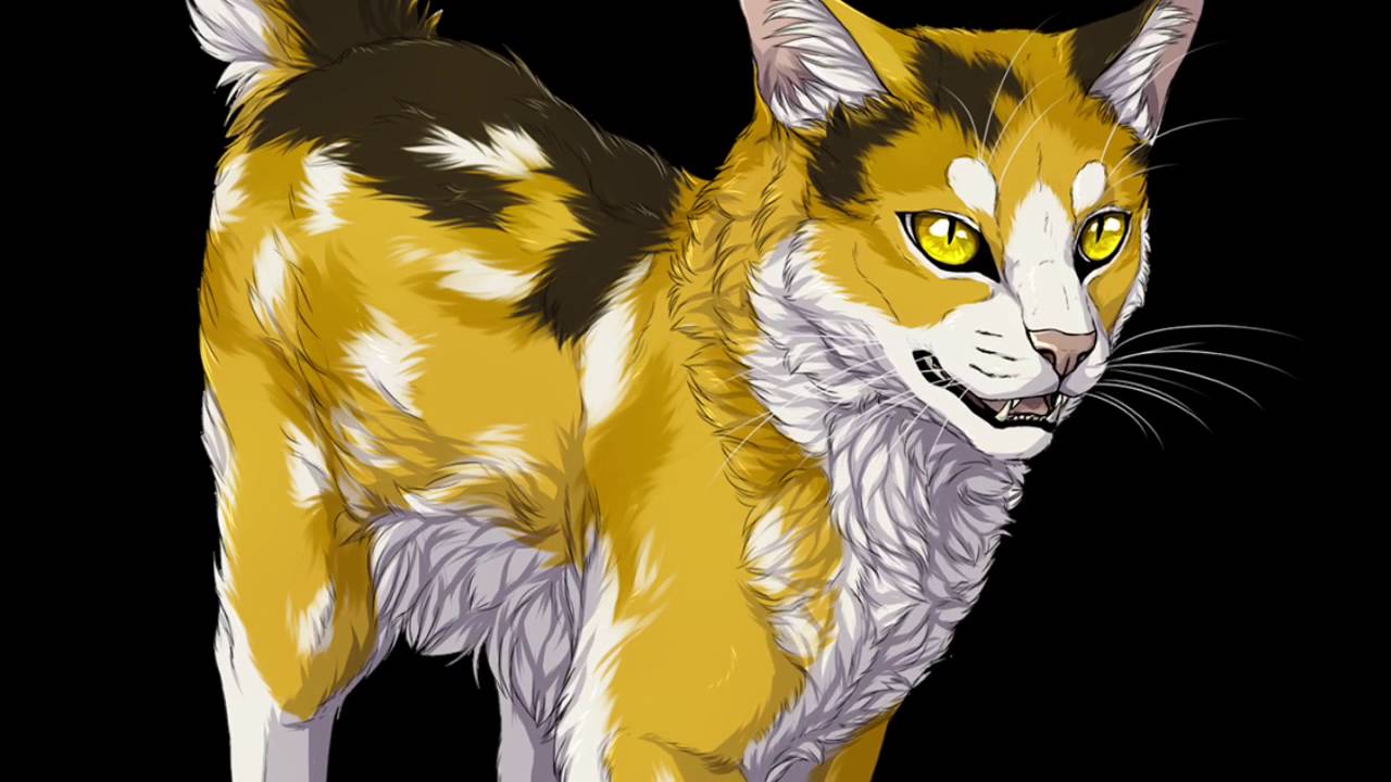 Top 10 She-Cats in Warrior Cats 