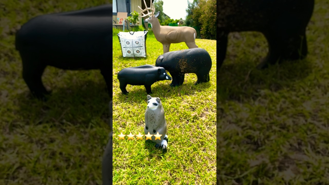 3D TARGETS UNDER $95 | Link ➡️ ⭐️⭐️⭐️⭐️⭐️ 