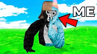 I Trolled As Jagger Vr A Kid Called Me The N-Word