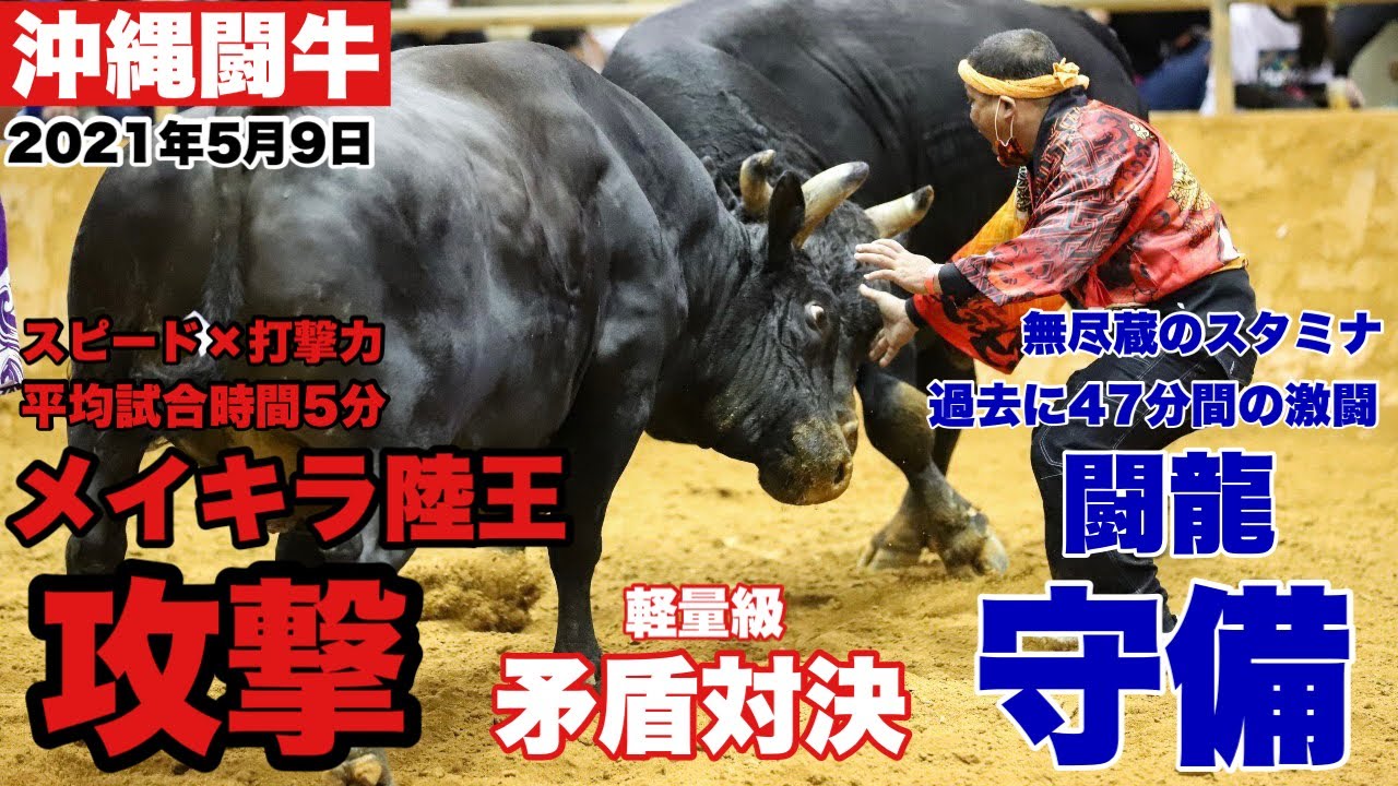 いやいや強すぎでしょ １０００kgが宙を浮く この強さでデビュー3戦目 新力baby が元徳之島中量級チャンピオンを圧倒 Youtube