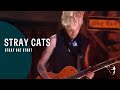 Stray Cat Strut Lyrics Meaning