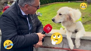 Funniest Dogs Ever! 🤣 | Funny Dog Videos Compilation 2025 🐶 Part 2