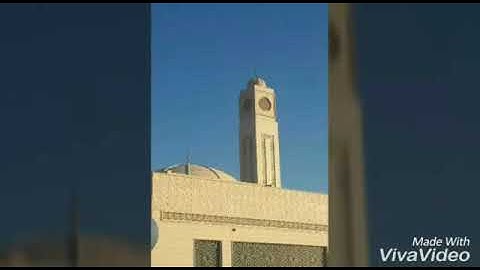 القارئ عبد الرحمن أبو الغيط