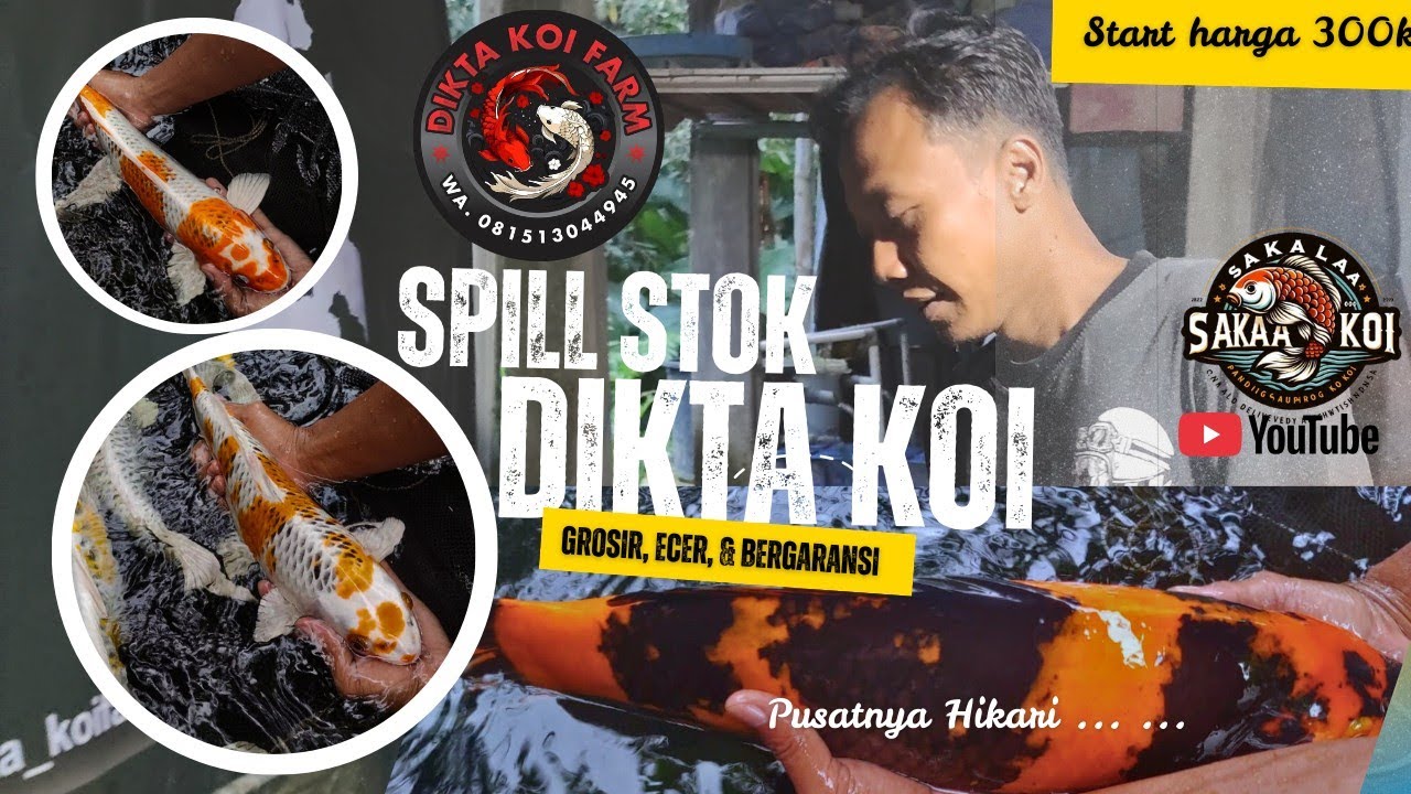 ‼️300-600k pelengkap kolam ikan anda, ada yang cakep dan rare item juga, simak baik baik‼️