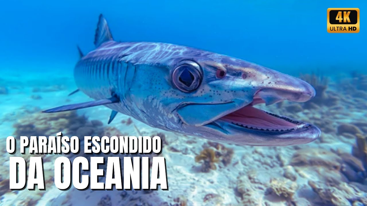 🌊 Triângulo de Corais | A Última Fronteira da Vida Marinha 🐠🌍 – Oceania Documentário 🎥