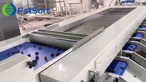 Dates sorting grading machine jujubes processing line agriculture machinery calibration size grader