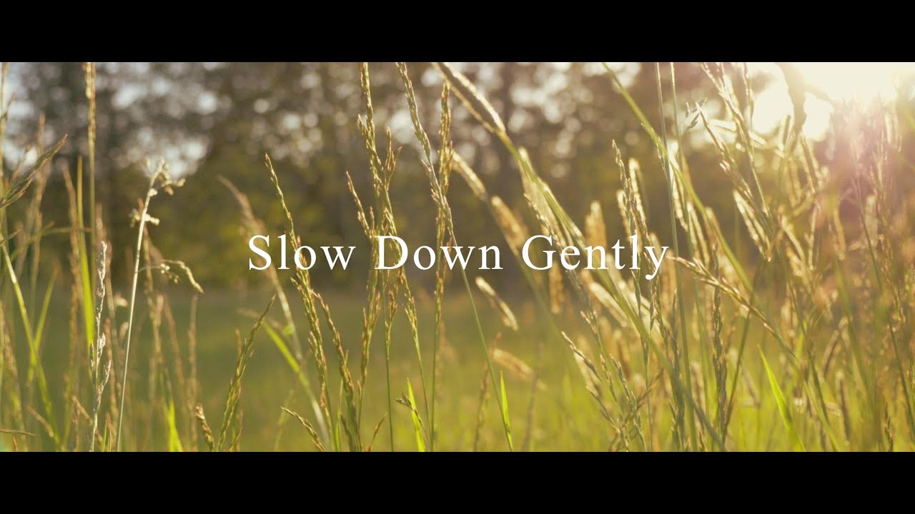 Watch Slow Down Gently - Dylan John Sparkes | (Piano Music) on YouTube Watch Slow Down Gently - Dylan John Sparkes | (Piano Music) on YouTube