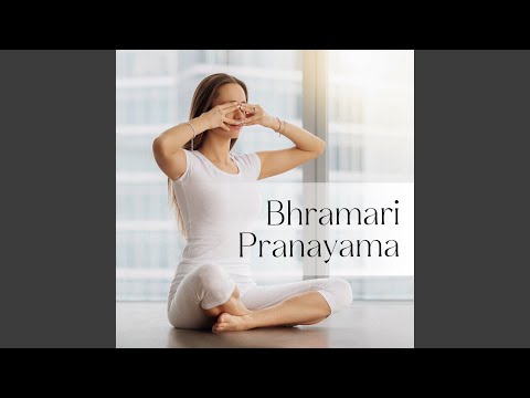 Indian man doing Bhramari Pranayama or the bee breath yoga pose in Kurta  Pajama, Lifestyle Stock Footage ft. Yoga & asanas - Envato Elements