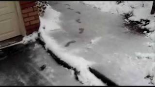 I HATE SNOW