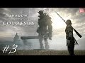 SHADOW OF THE COLOSSUS #3 - GAIUS, TERCEIRO COLOSSO | Em Português no PS4 Pro