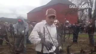 Mendocino Winegrowers Inc.'s annual pruning competition at Hop Kiln Vineyards.