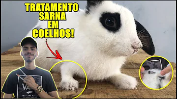 Qual a dosagem de ivermectina para Coelho?