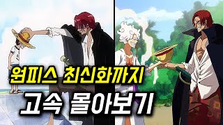 원피스 30분만에 몰아보기 (29년 분량 요약)